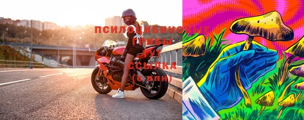 спиды Алзамай