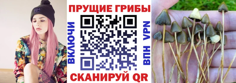 Галлюциногенные грибы MAGIC MUSHROOMS  Медынь 
