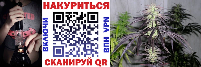 Каннабис план  где можно купить наркотик  blacksprut как зайти  дарк нет какой сайт  Медынь 